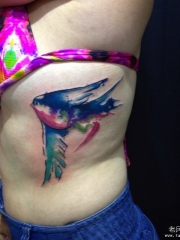 侧腰欧美泼墨彩色小鸟纹身图案