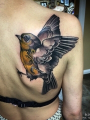 背部school小鸟纹身图案
