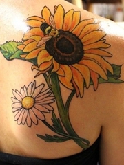 彩色植物颜料纹身女性喜欢的一组漂亮的花卉纹身图案