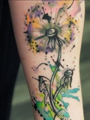 女性身上多种风格的蒲公英纹身动物图案纹身