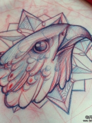 欧美school老鹰头纹身图案手稿