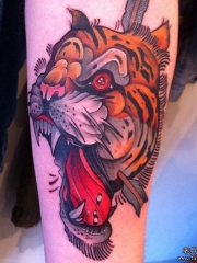 小臂欧美school老虎箭纹身图案