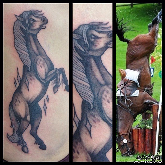 腹部欧美黑灰马纹身图案