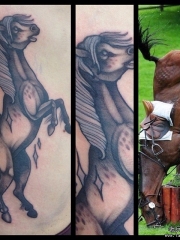 腹部欧美黑灰马纹身图案