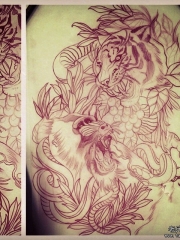 欧美老虎猩猩蛇纹身图案手稿