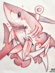 欧美school鲨鱼船锚纹身图案手稿缩略频道推荐图