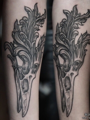 小臂点刺骷髅鸟头纹身图案