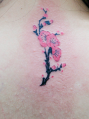 美女颈部漂亮的梅花纹身图片