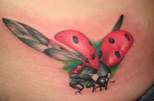 女孩就喜欢这样清新可爱的小瓢虫纹身图案