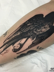 小腿欧美黑色乌鸦纹身图案