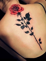 女子后背娇艳欲滴玫瑰花纹身图案