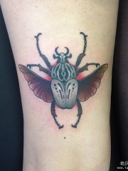 大腿欧美昆虫彩绘纹身图案
