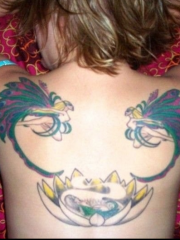 女生背部彩色孔雀翅膀天使纹身图案