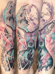 手臂上彩色梅花鹿头纹身星空纹身图片