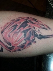 小腿上的精致的水彩风格火烈鸟纹身图片