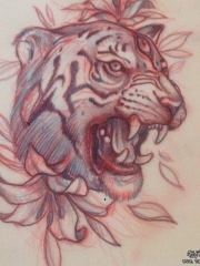 school老虎花卉纹身图案手稿