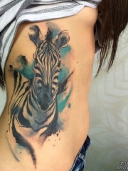 侧腰斑马泼墨欧美纹身图案
