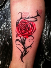 小腿上性感妖艳的玫瑰纹身图案