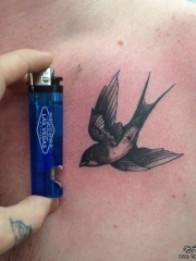 欧美school好看的小燕子纹身图案