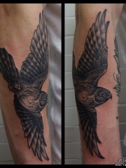 小臂欧美鸟黑灰纹身图案