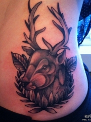 侧腰欧美鹿头纹身图案