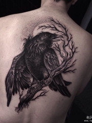 男性背部欧美乌鸦树枝月亮纹身图案