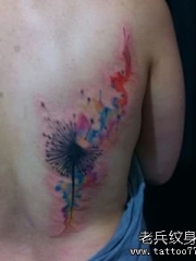 背部泼墨蒲公英纹身图案