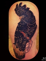 大腿欧美鹦鹉珠宝纹身图案