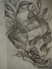 欧美鸟巢骷髅植物纹身图案手稿