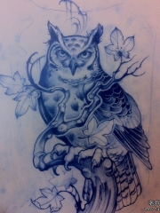 欧美猫头鹰树枝纹身图案手稿