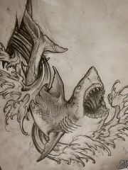 欧美鲨鱼浪花纹身图案手稿