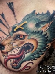 欧美胸部彩色狼头纹身图案