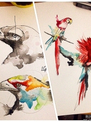 欧美泼墨老鹰鹦鹉纹身图案手稿