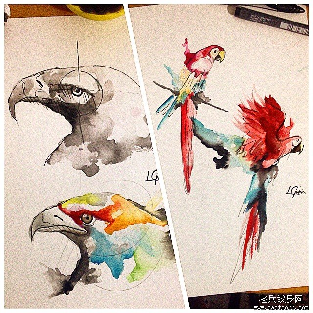 欧美泼墨老鹰鹦鹉纹身图案手稿