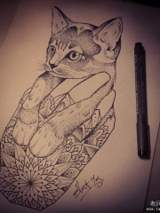 点刺曼陀罗猫纹身图案手稿