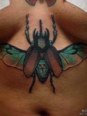 胸部昆虫欧美性感纹身图案