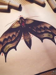 school欧美飞蛾纹身图案手稿