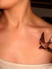 彩色的各种风格动物图案纹身燕子