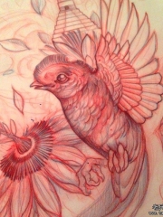 欧美鸟school植物纹身图案手稿