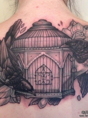 背部欧美鸟鸟笼植物纹身图案