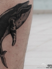 小腿鲸鱼遮盖纹身图案