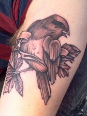 大臂school鸟树叶纹身图案