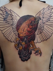 背部school老鹰翅膀纹身图案