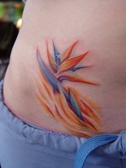 女生小清新纹身彩色天堂鸟花纹身植物纹身图案