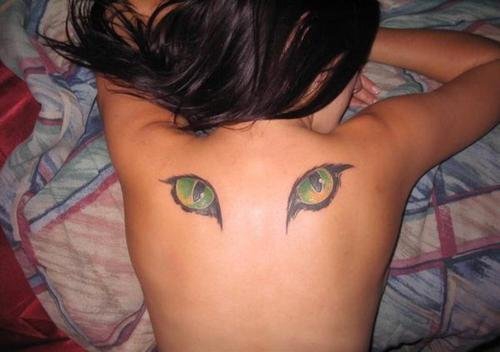 彩色的各种风格猫纹身动物图案纹身