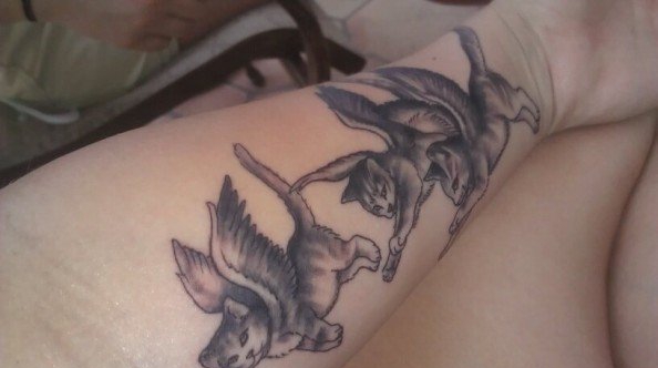 彩色的各种风格猫纹身动物图案纹身