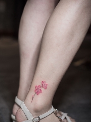 脚踝美丽的花蕊彩绘纹身图案
