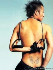 明星谢霆锋腰部翅膀纹身图案