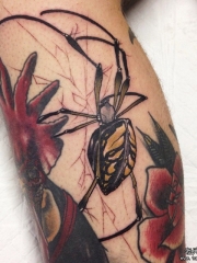 小腿school蜘蛛彩色纹身图案
