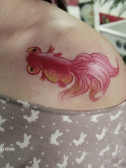 女性锁骨旁的小金鱼纹身图案
